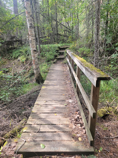 Bass Lake Trail - Thumbnail