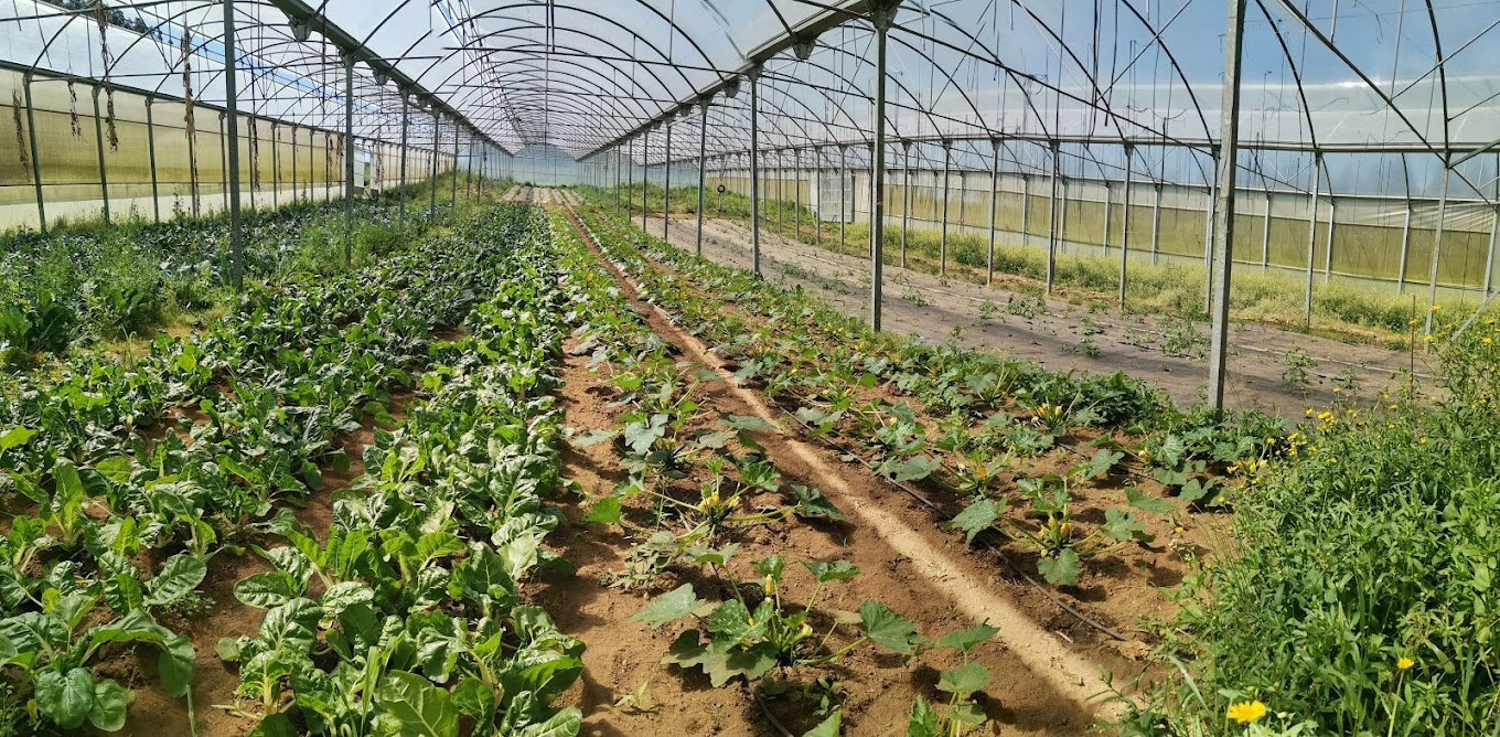 venta directa agricultor consumidor a coruña en labrecos