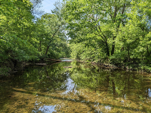 Four Mills Nature Reserve - Thumbnail
