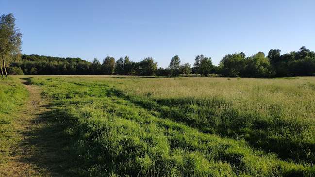 Munden Estate