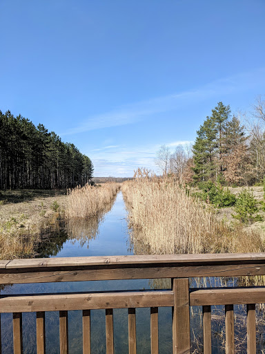 Paupitzscher See - Thumbnail