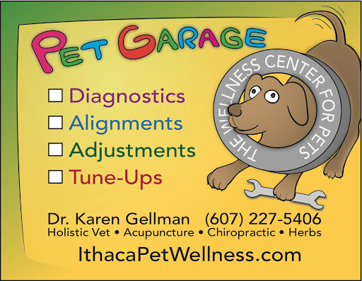 The Wellness Center for Pets