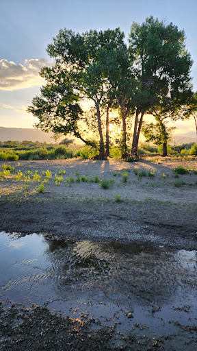 Ambrose Carson River Natural Area - Thumbnail
