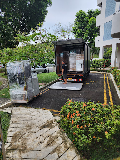 Vimbox Movers - Visual