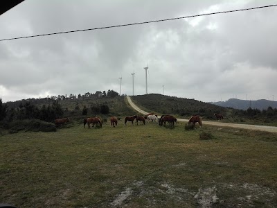 Centro Interpretación del Rio Sor