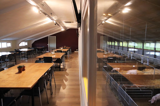Porcus Campus - Thumbnail