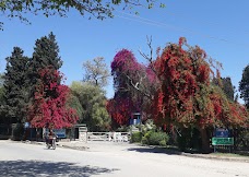 Taxila Museum islamabad