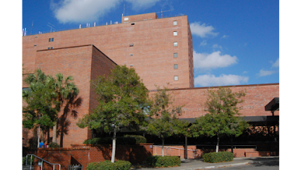 UF Health Endodontics