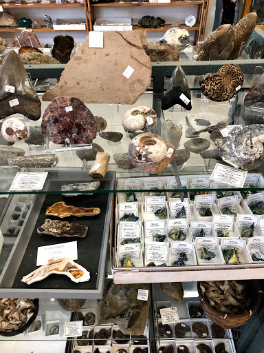 Nature's Gallery - Visual