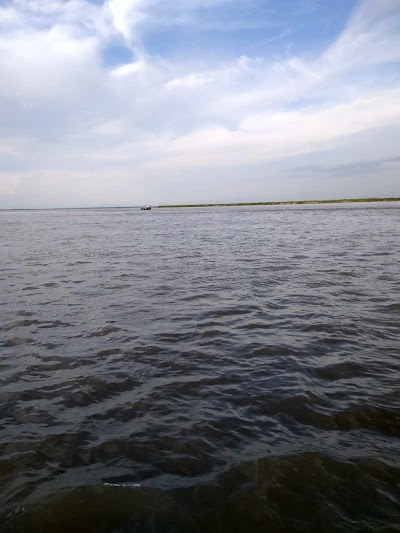 Photos of জোড়গাছ নতুন বাজার