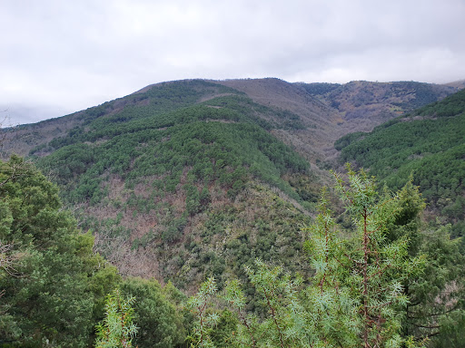 Trocha Real al Puerto De Candeleda