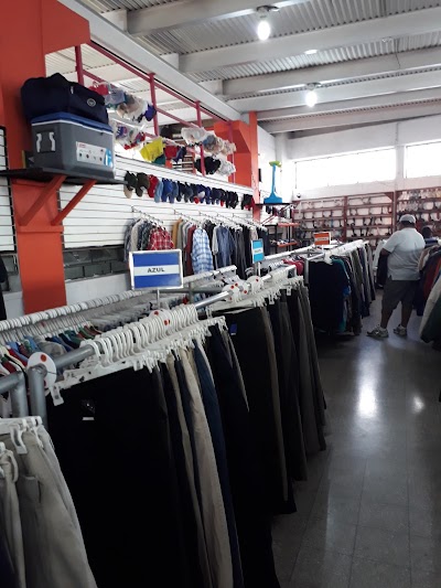 Photos of Megapaca Petapa