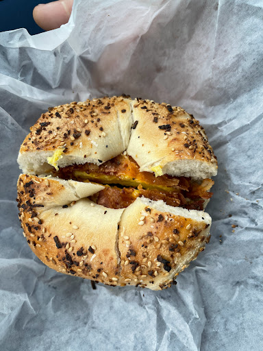 Fishhawk Bagels - Visual