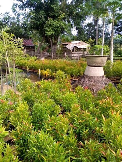 park