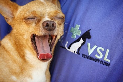 Photos of VSL Veterinary Clinic