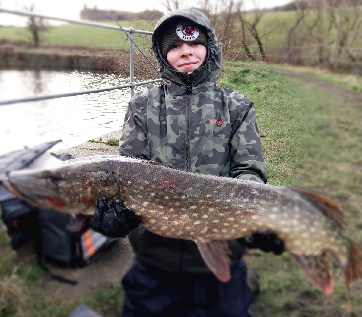 Pike deadbaits Wigan