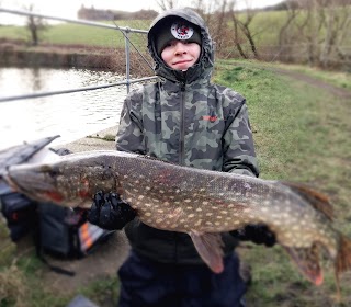 Pike deadbaits Wigan