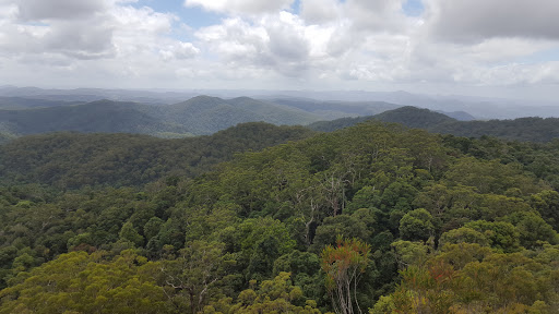 Tapin Tops National Park - Thumbnail