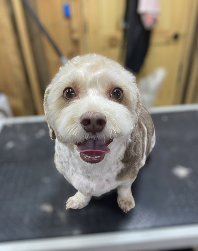 The Grooming Lounge - Waupaca - Thumbnail