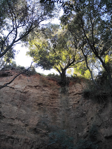 Bosc de Malhivern - Thumbnail