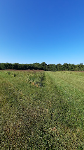 Greystone Disc Golf Course at Miller Farm Park - Thumbnail