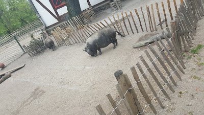 Photos of Tiergehege im Kaisergarten