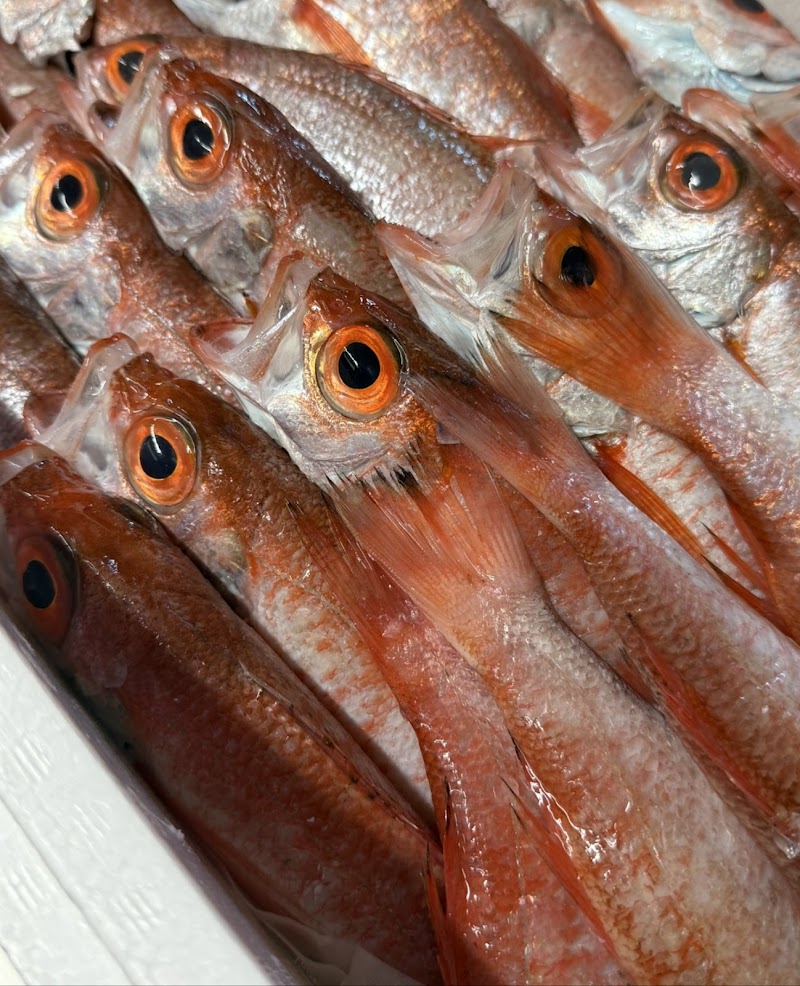 お魚菜料理 松香