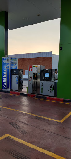 Green Gas - Visual