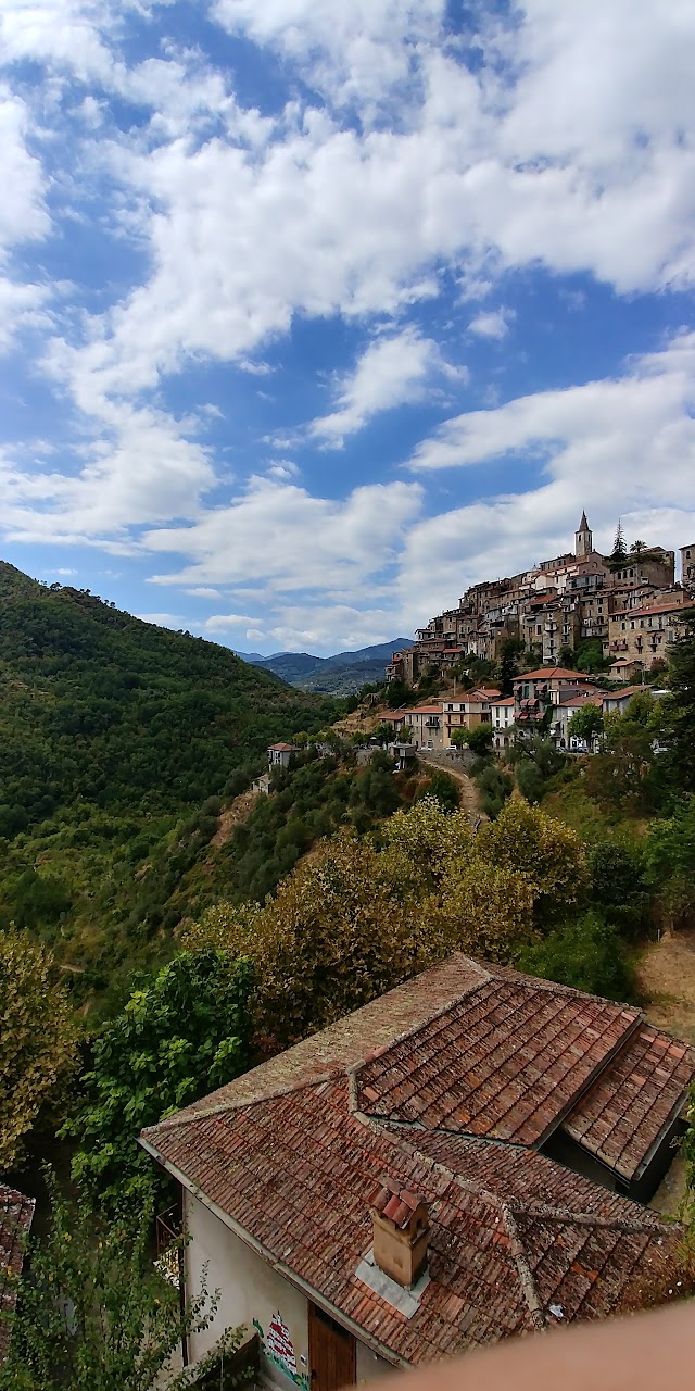 Apricus Osteria & Bar