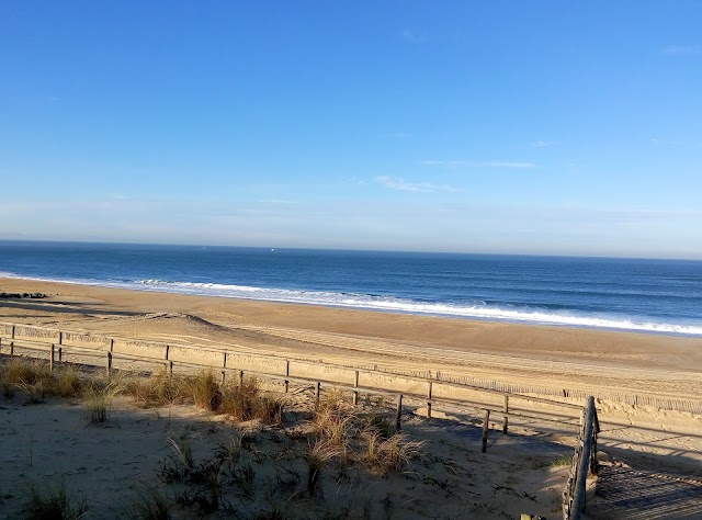 Hossegor Surf Club
