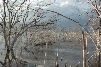 Photos of Isla Cabritos