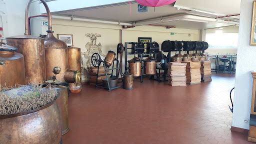 Usine Musée Parfums Galimard l Grasse - Thumbnail
