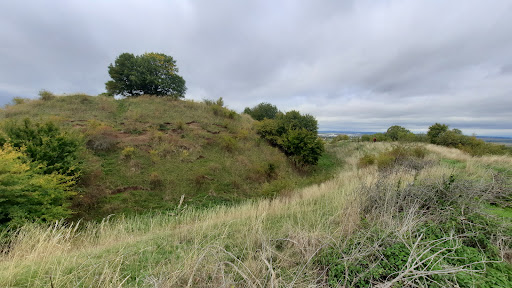 Käfernburg - Visual