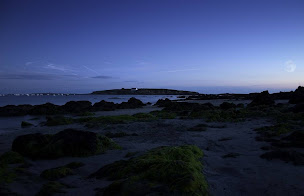 Photo n°21 de ESPRIT IMMOBILIER à Névez (Agence immobilière)