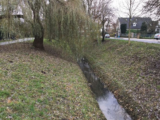 Bürgerverein Wüste e.V. c/o Dieter Blessing photo