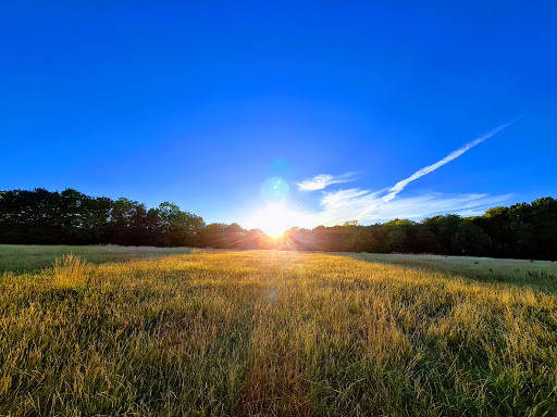 Merrow Common - Visual