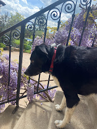 Photo n°15 de Le Four A Pain De Morancé à Morancé (Chambre d'hôtes)