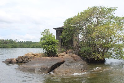 Photos of Madu Queen Boat Safari
