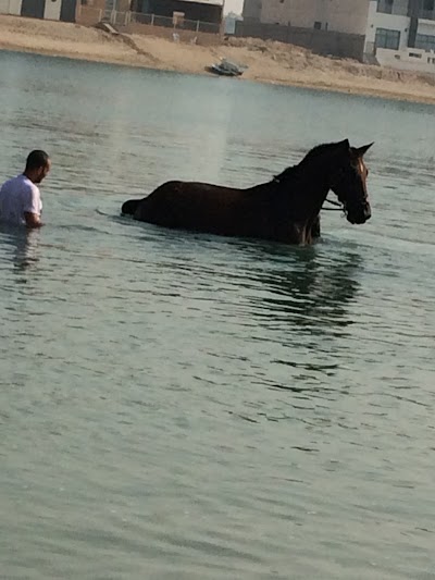 Photos of Kuwait Riders Academy