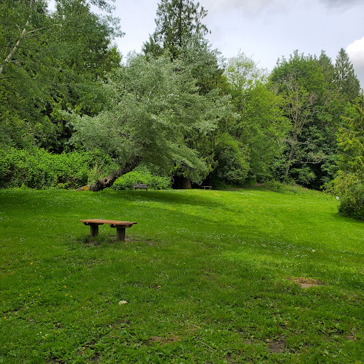 Paramount Open Space - Visual