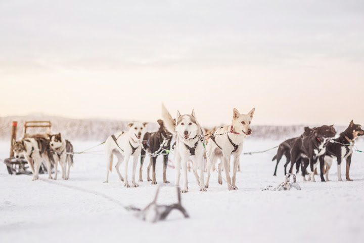 Hotel Korpikartano by null