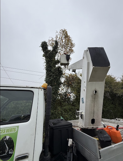 ENT.S.RODIER Paysagiste et Elagueur