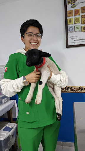 Clínica Veterinaria San Martín