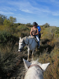 Photo n°4 de lou Vibre Camargue de Vos Rêves Promenade a cheval à Saintes-Maries-de-la-Mer (Centre de randonnée équestre)