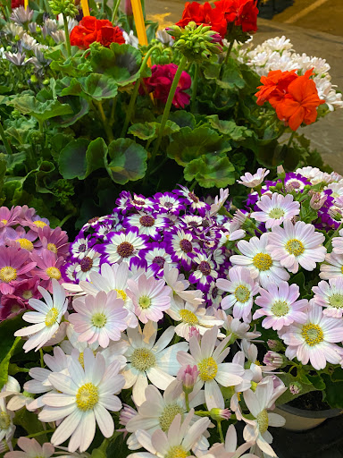 Floristeria Rehoboth. 利河伯花艺店 - Thumbnail