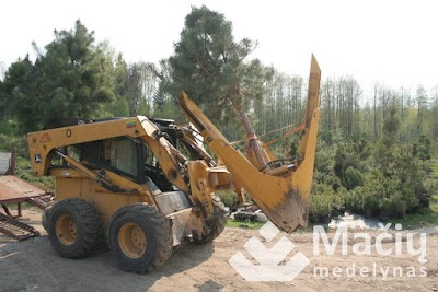 Photos of Mačių medelynas