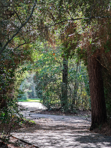 Shadowbend Park - Thumbnail
