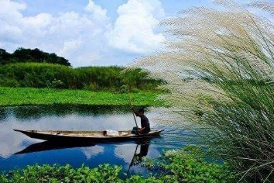 Photos of মধ্য পানিয়া জামে মসজিদ।