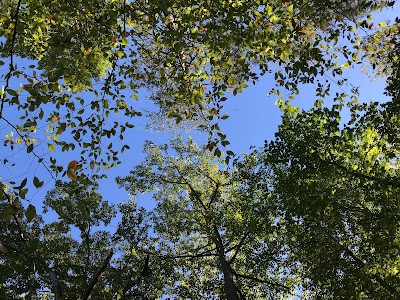 Burke Lake Park Shelter C