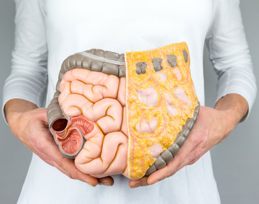 Renu Wellness Spa / Colon Hydrotherapy - Thumbnail